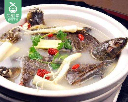 活杀甲鱼/1只（400-450g） 商品图4