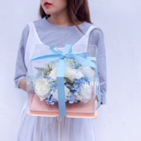 《晴空》. 精致花盒