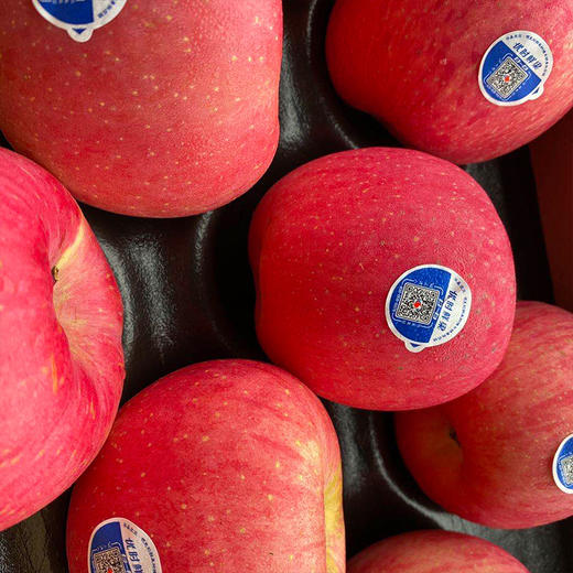 华圣优时鲜红富士苹果/混级果36枚双层流通包装7.5kg - 96128鲜生活