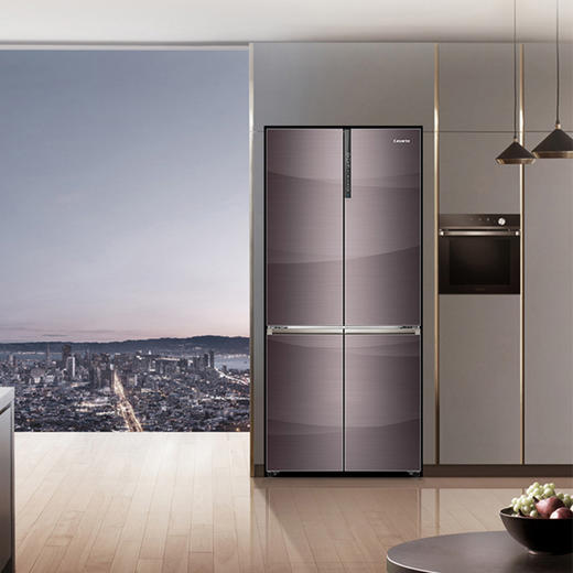 大容量 风冷无霜bcd-551wdcpu1 商品图1