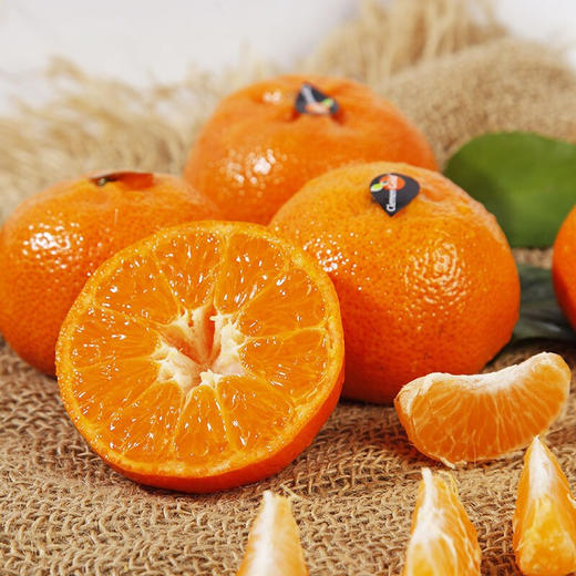 5/4颗】clemen gold柯莱蒙 南非进口柑橘 软皮柑 大果 单果160g左右