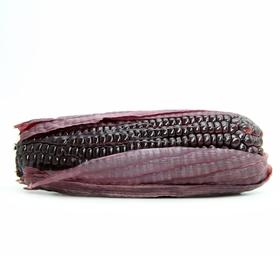 玉米兄弟有机紫黑玉米，无化学肥药无添加剂非转基因有机认证