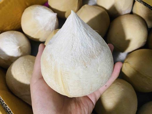 泰国椰皇/奶椰，新鲜椰汁， 果香浓郁，大部分区域顺丰包邮 商品图2