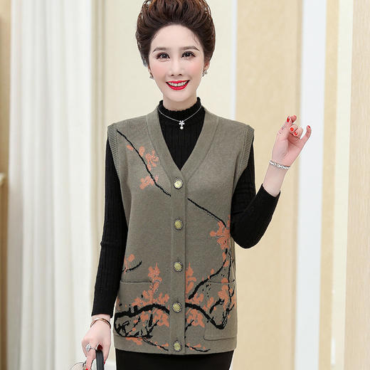 QYY-jp6077新品老年人春秋背心服薄款外穿马甲 商品图1