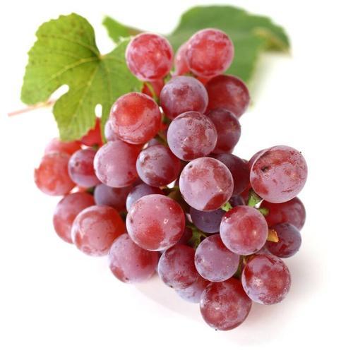 大红提坏果包赔500g