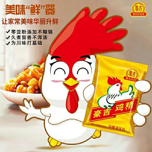 豪吉鸡精    454g/包 商品图2