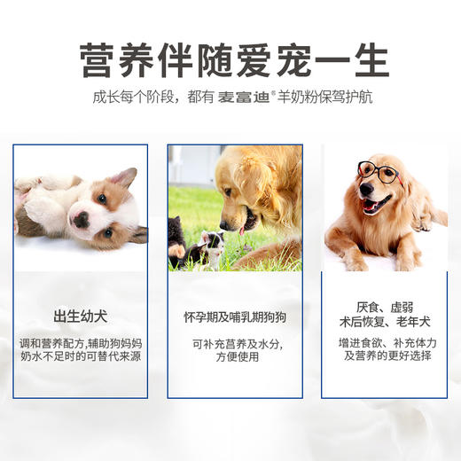 麦富迪狗狗零食宠物羊奶粉300g哺乳期犬奶粉通用泰迪金毛营养品 商品图2