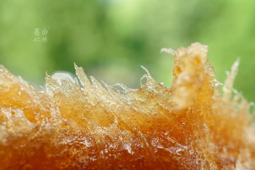 野生酸枣饼 商品图2