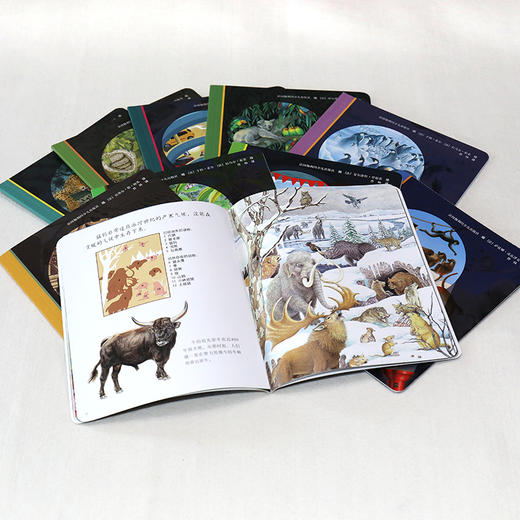 第一次发现·神奇手电筒·探秘地球 商品图2