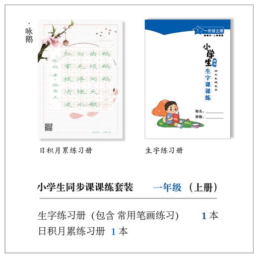 小学生 1 - 6 年级(上册) 课课练套装-LT 商品图7