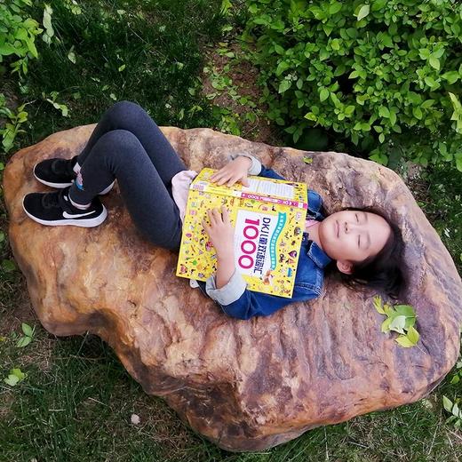 【可点读】DK儿童双语词汇1000 适合3-8岁小朋友 商品图6