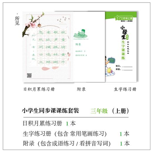 小学生 1 - 6 年级(上册) 课课练套装-LT 商品图5