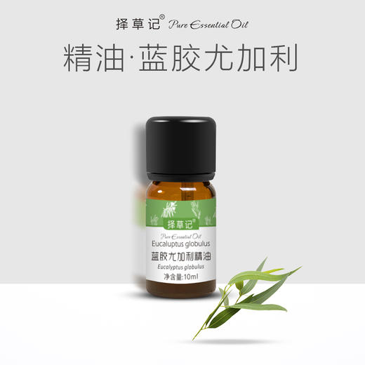 【开放下单】择草记蓝胶尤加利精油 商品图0
