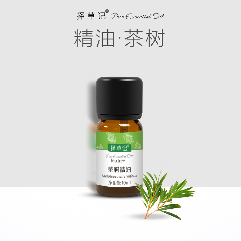 择草记茶树精油【超会专享】