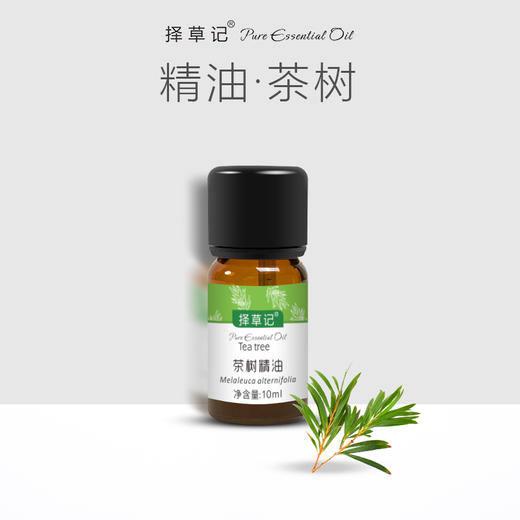 择草记茶树精油【超会专享】 商品图0