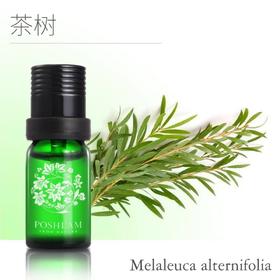 1F宝琪兰茶树精油