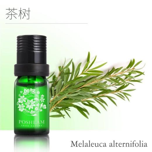1F宝琪兰茶树精油 商品图0