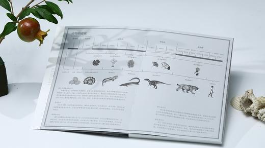 探索设计中的灵感 动物美学 商品图9