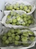 垄畔优品阳光玫瑰葡萄 商品缩略图3