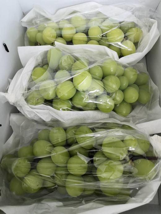 垄畔优品阳光玫瑰葡萄 商品图3