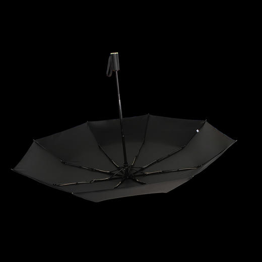 罗马遮阳伞 便携雨伞 自动开收 商品图2