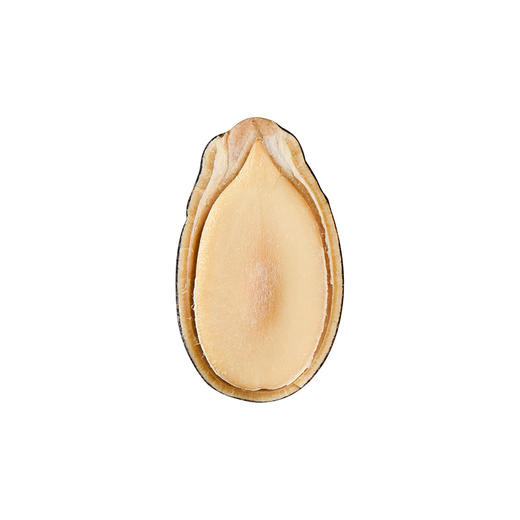 390g盒装话梅味西瓜子30小袋百里挑一休闲零食坚果炒货年货食品 商品图5