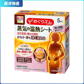 日本 KAO花王蒸汽温热贴 腰腹部热敷贴/痛经贴/暖宫贴 5片装