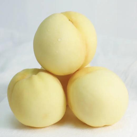 快递发货-5斤 蒙阴白桃 脆甜多汁应季水果