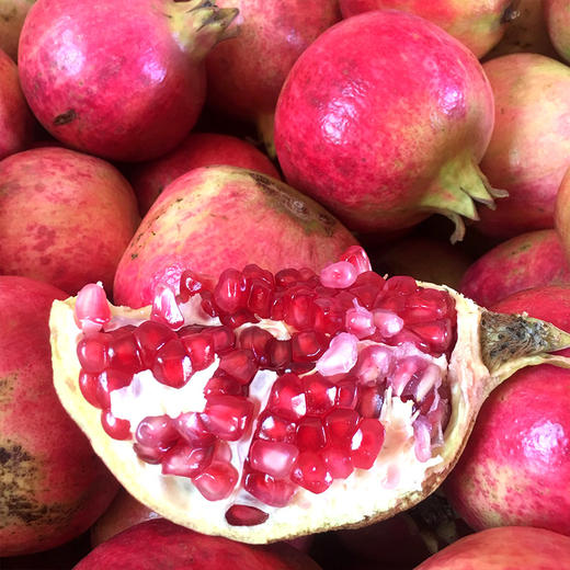 【四川·会理】正宗精品突尼斯红心软籽石榴 超大超甜爆汁石榴 大凉山新鲜石榴 商品图3