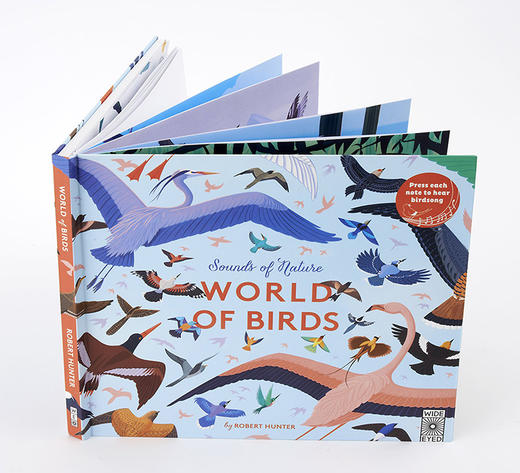 大自然的声音 音乐发声绘本 鸟类世界 英文原版 Sounds of Nature World of Bird 英文版儿童趣味互动 进口原版英语书籍 商品图1