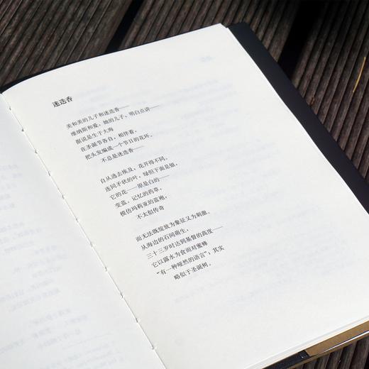 玛丽安·摩尔诗全集 独角兽文库 日晷奖 普利策奖 百科全书式诗人 外国文学 诗歌 精装 正版 华东师范大学出版社 商品图3