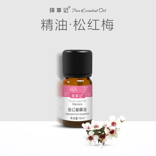 【开放下单】择草记松红梅精油 商品图0