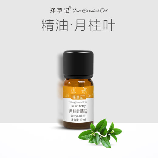 择草记月桂叶精油【超会专享】 商品图0