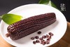 【3天内发货】 有机黑玉米非转基因黑玉米 新鲜糯玉米 6斤左右10根 商品缩略图2