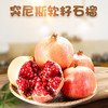 【四川·会理】正宗精品突尼斯红心软籽石榴 超大超甜爆汁石榴 大凉山新鲜石榴 商品缩略图0