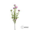 配花 | 翠菊粉色 商品缩略图2