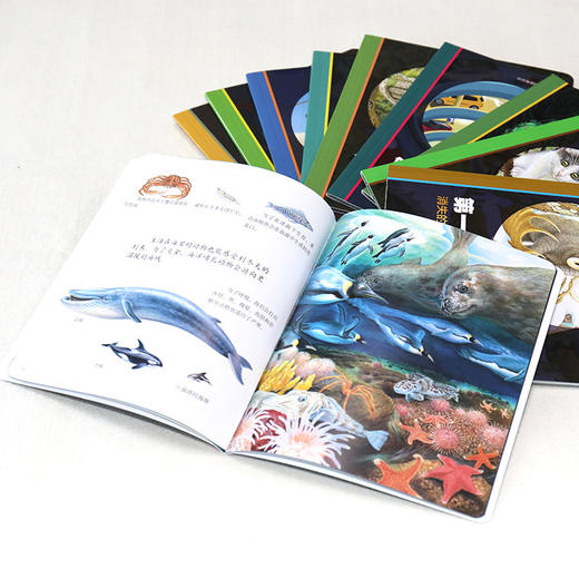 第一次发现·神奇手电筒·探秘地球 商品图1