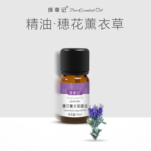 【开放下单】择草记穗花薰衣草精油 商品图0