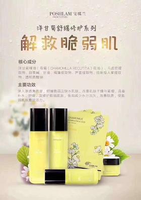 1F宝琪兰洋甘菊套装