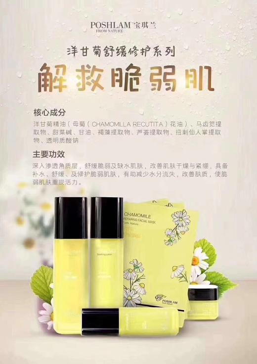 1F宝琪兰洋甘菊套装 商品图0