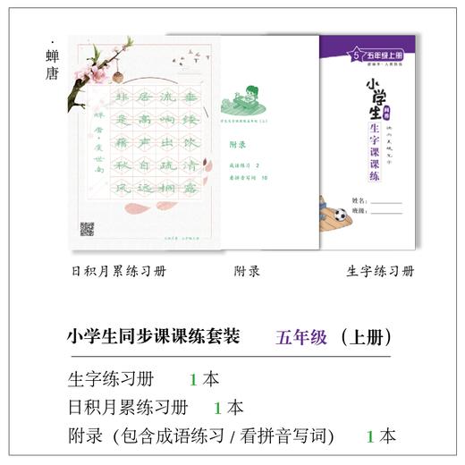 小学生 1 - 6 年级(上册) 课课练套装-LT 商品图3
