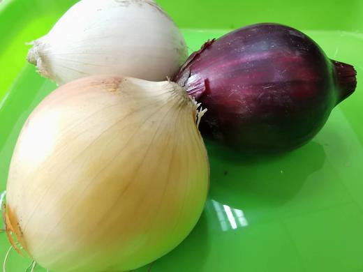 【全国除偏远可发】2025有机认证新疆有机黄洋葱/紫洋葱，新鲜上市，黄/白/紫 商品图0