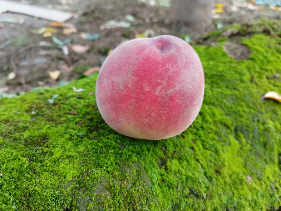顺丰包邮 | 水磨沟花寨子白凤桃 兰州正宗白凤桃 香甜多汁 甜润可口