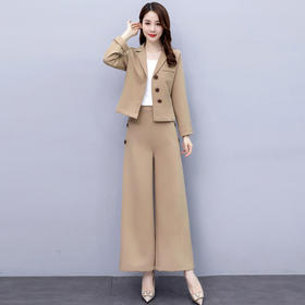 LJY-	RS8503新款洋气小西装休闲时尚两件套阔腿裤套装WW
