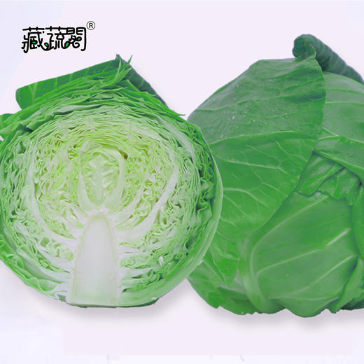 [庭院种子] 春秋圆甘蓝种子 "满甘" 商品图1