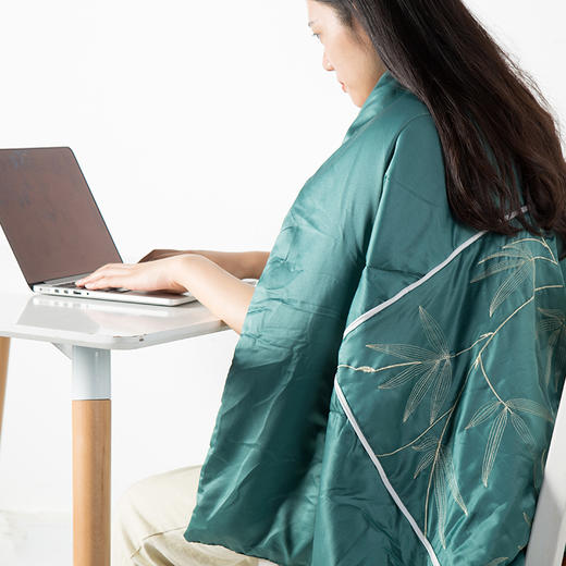 坐着睡着靠着赶跑湿寒的艾绒靠枕被  36*36cm（预计8月份发货） 商品图3