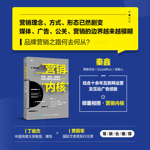 营销内核：市场、*牌、消费者深层次洞察与创意策划 商品图1