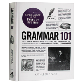 101系列 英语语法 英文原版 Grammar 101 字典词典 英文版原版书籍 进口工具书