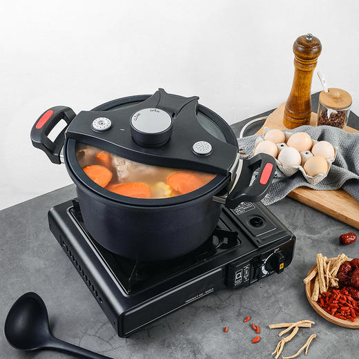 法国赛巴迪Sabatier 法式蓝钻不粘微压锅 24cm 商品图4