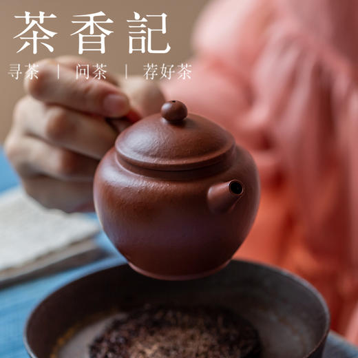 茶香记 梨皮朱泥具轮珠 紫砂壶 永砂 手感柔和 经典壶形 具轮珠 趁手实用 泥料细密 商品图4